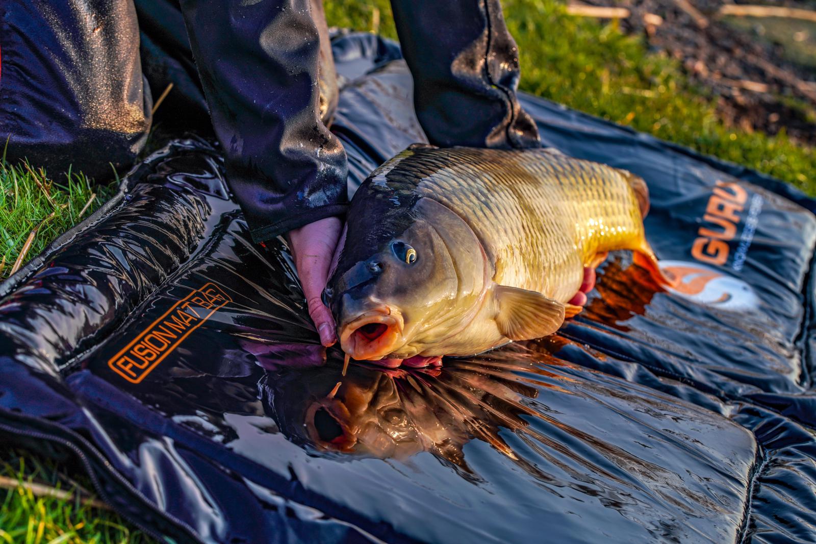 Guru Shop -Guru Shop GURU2